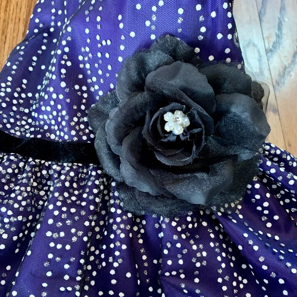 Formal Toddler Dress, Size 24 months